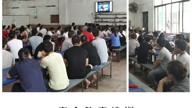 成人高考成绩查询：轻松几步，掌握你的成绩动态